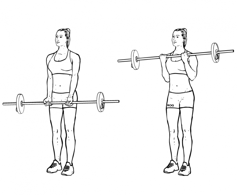 Barbell biceps Curl. Упражнения на бицепс для девушек. Narrow Grip Barbell Curl. Barbell Calf Curl.