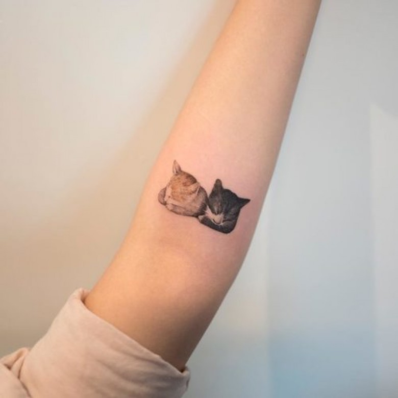 Inspirations De Tatouages Felins Trop Mignons